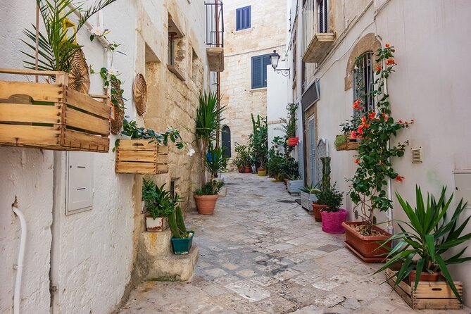Alberobello, Castellana Caves and Polignano Guided Tour from Bari - Who this tour is best for (and who should skip it)