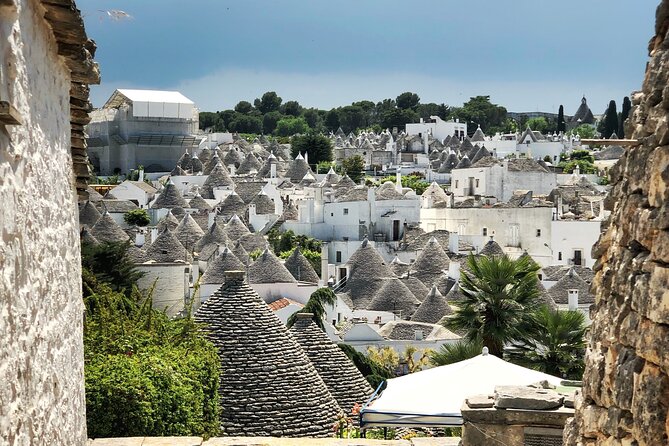 Alberobello : Group or Private Walking Tour & Olive Oil Tasting - Quick hits before you go