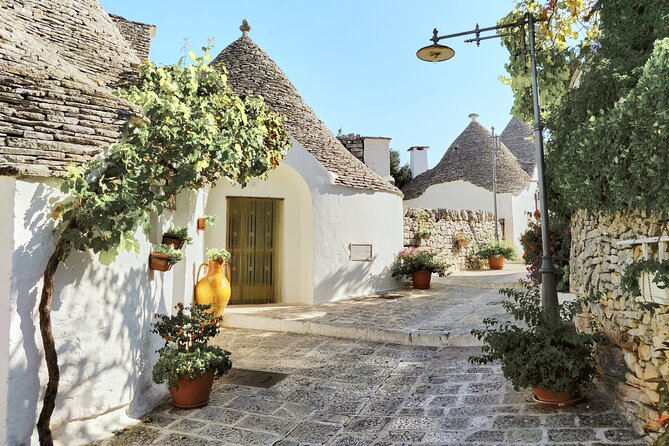 Alberobello : Group or Private Walking Tour & Olive Oil Tasting - UNESCO Trulli Stop: Why This Area Matters