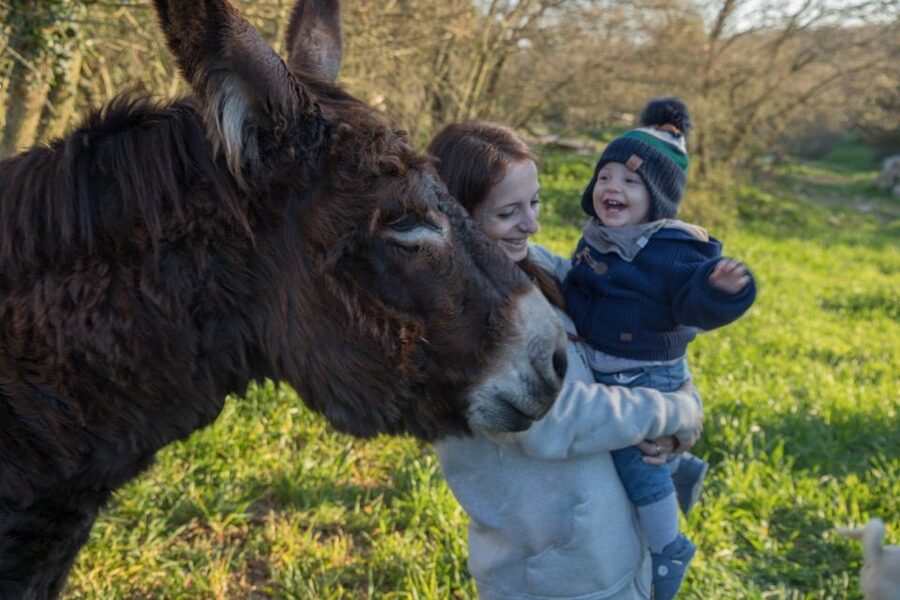 Alberobello: Guided e-bike tour + mill & donkey farm - Donkey farm stop: gentle animals and real up-close moments