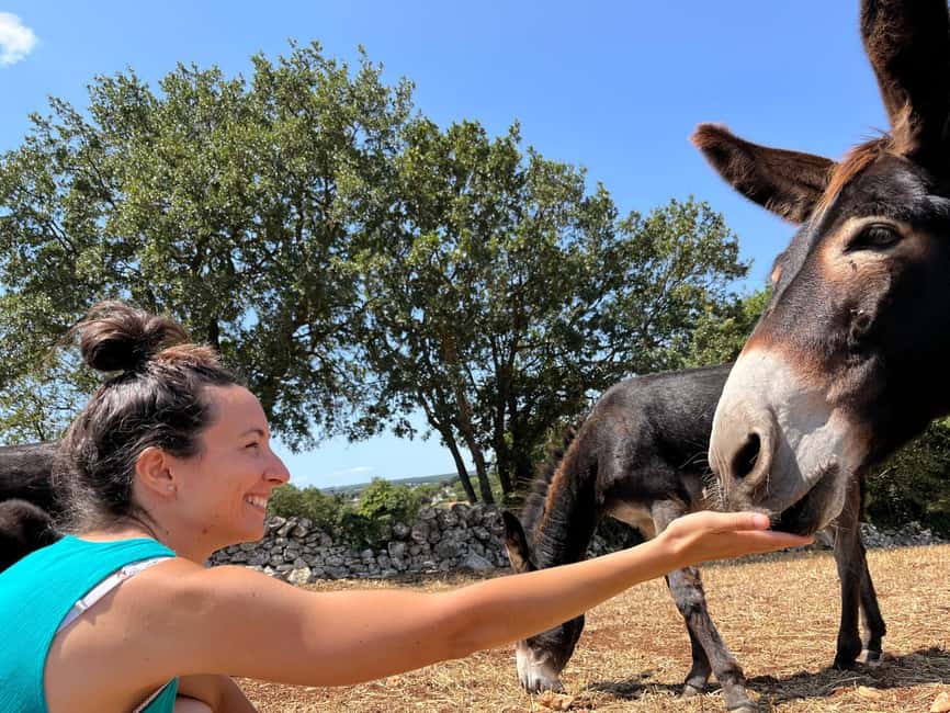 Alberobello: Guided e-bike tour + mill & donkey farm - Small group feel: up to 9 people and multiple guide languages