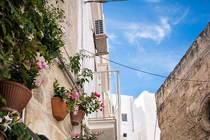 Alberobello, Monopoli Polignano Small Group Guided Tour from Bari - The basic shape of the day: three towns, one guided loop