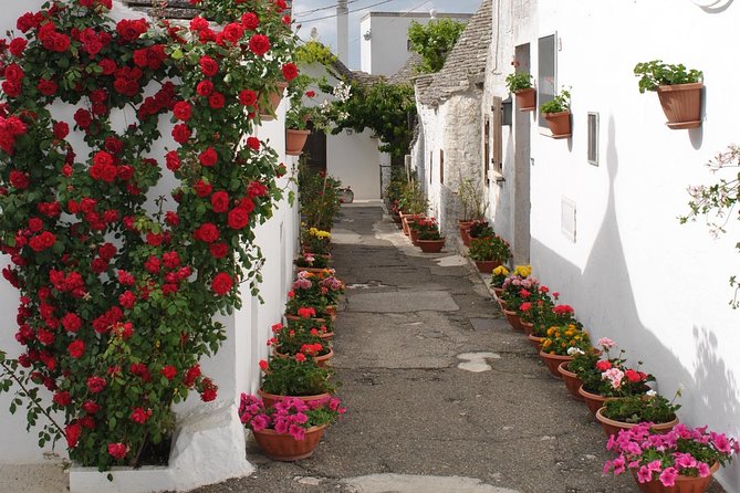 Alberobello&Ostuni&Polignano a Mare - A 7-hour Puglia loop that doesn’t waste your time