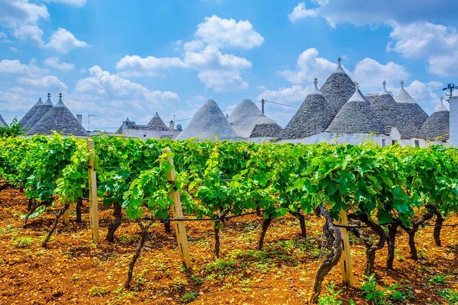 Alberobello Private Tour: Wine, Food, Trulli & Flavors of Puglia - Pickup from Bari and the Scenic Apulian Countryside Drive