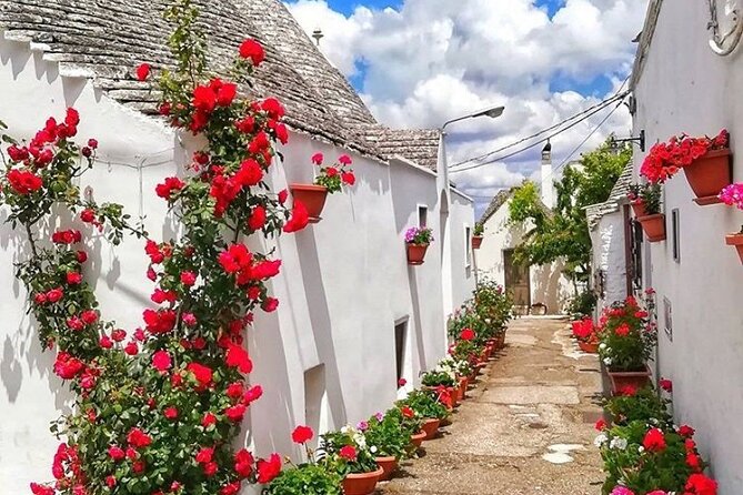 Alberobello Private Tour: Wine, Food, Trulli & Flavors of Puglia - Timing and Pacing: A 5-Hour Plan That Doesn’t Waste Your Day