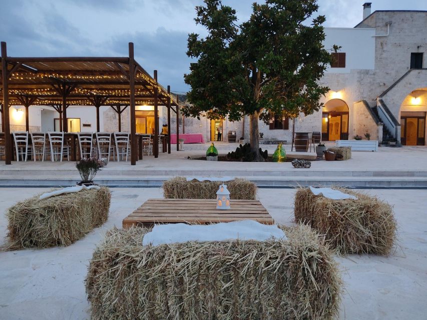 Alberobello: Winery Tour with Wine and Food Tasting - Key Highlights You’ll Feel