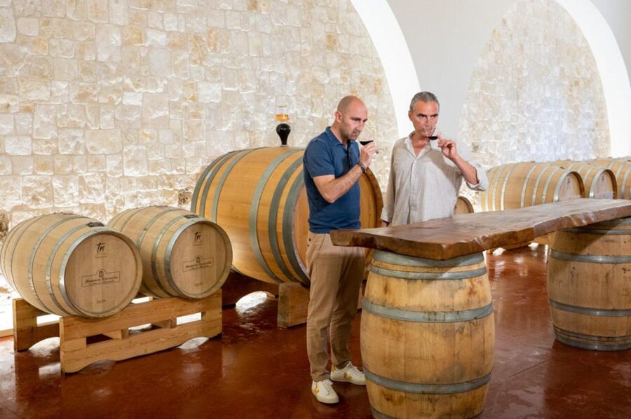 Alberobello: Winery Tour with Wine and Food Tasting - What You Get in 2.5 Hours (and Why the Time Works)