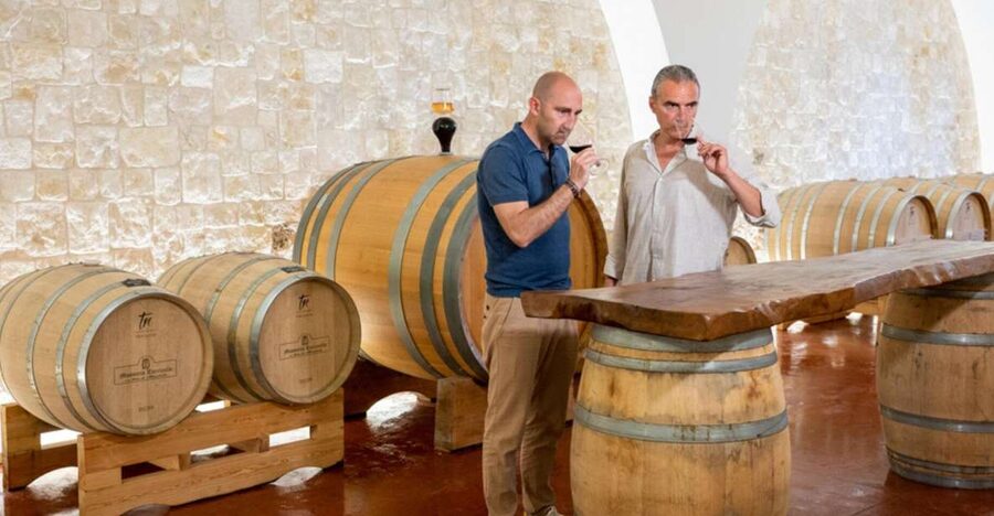 Alberobello: Winery Tour with Wine and Food Tasting - The Tasting Seat-Down: A Clear Order of Wines and Foods