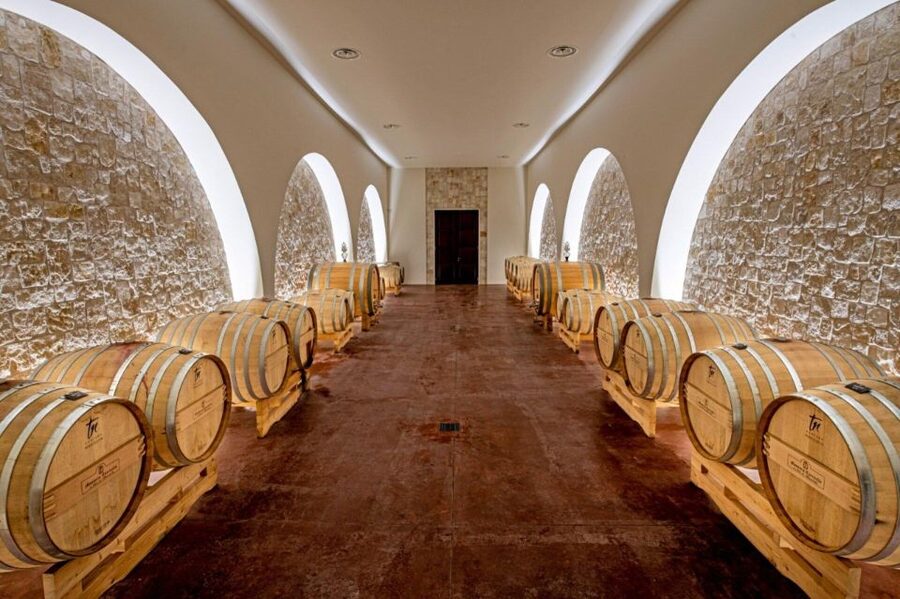 Alberobello: Winery Tour with Wine and Food Tasting - Language, Tone, and the Human Touch