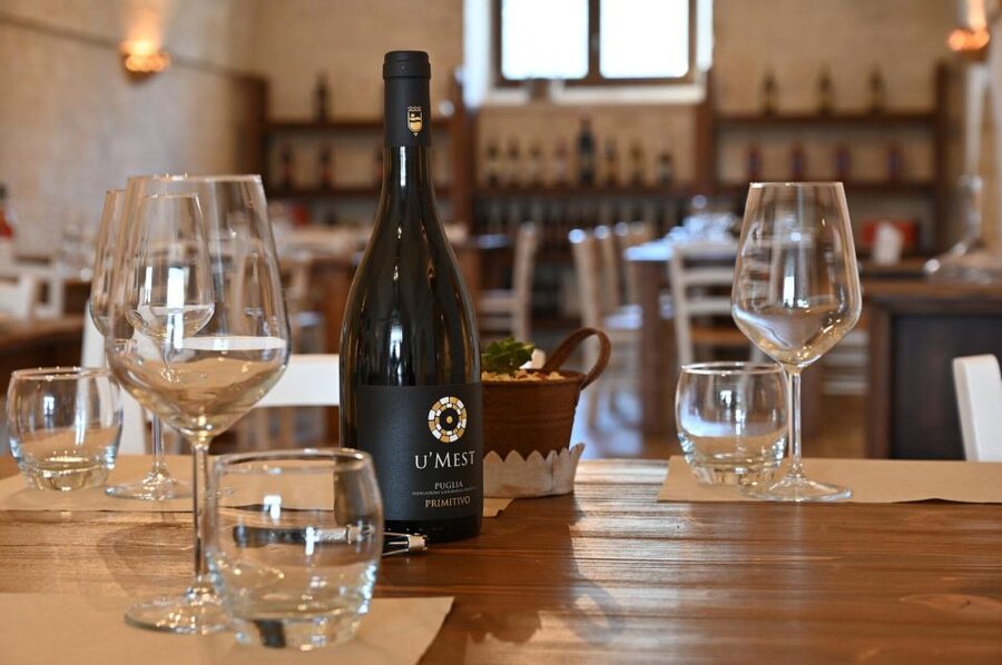 Alberobello: Winery Tour with Wine and Food Tasting - Can You Buy Wine After the Tasting?