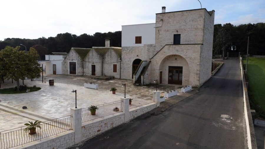 Alberobello: Winery Tour with Wine and Food Tasting - Entering the Vineyard and Winery: The Part Wine Lovers Actually Remember