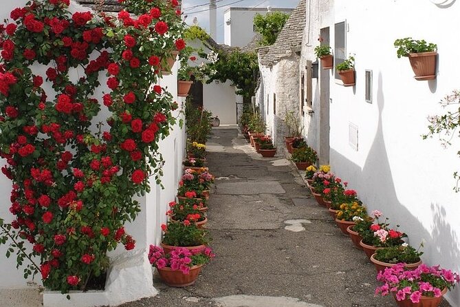 Alberobello with a local tour guide! - Stop 1: I Trulli di Alberobello and the Rione Aia Piccola Panorama