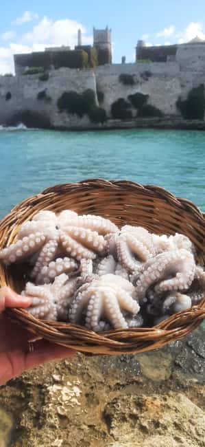 Bari: Fishing experience aboard an authentic fishing boat - Key highlights to notice before you go