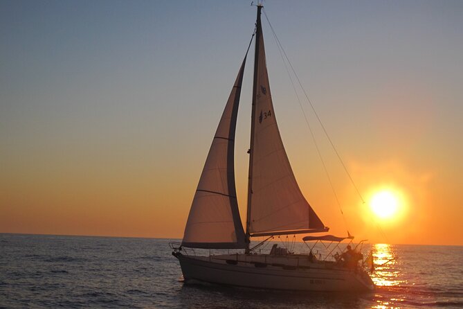 Bari sailing cruise in search of dolphins - Cruising the Apulian Coast: Harbor Views That Actually Feel Local
