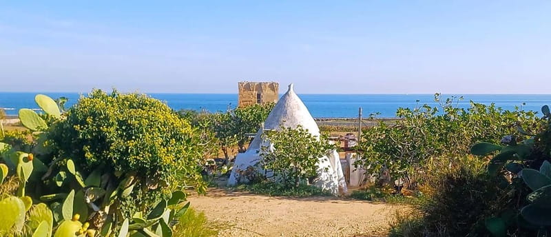 Bari: Tour Polignano Alberobello Matera (Private or Shared) - Key Things That Make This Tour Worth Your Time