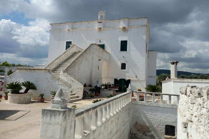 Bike oil tour in Monopoli - Why this Monopoli bike oil tour feels different than a basic “food day”