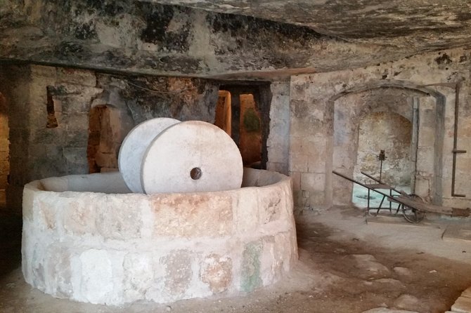 Bike oil tour in Monopoli - The tasting at Apulia the window on the sea: what to expect