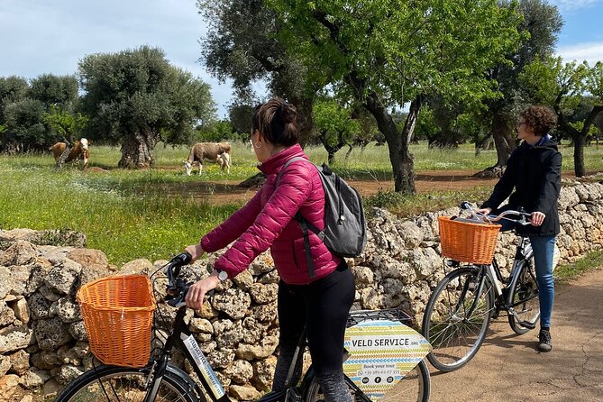 Bike Rental in Bari - Bike Quality and Riding Comfort: What to Expect on Real Streets