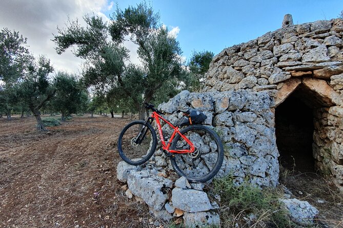Bike Tour in the Alta Murgia National Park (Pulo of Altamura) - Practical matters: how to show up and what to bring
