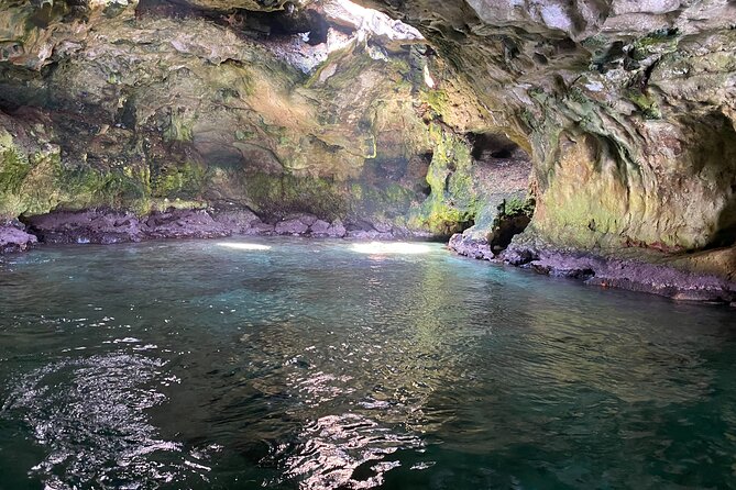 Boat excursion to Polignano a Mare between caves and coves - The caves and coves cruise: the real reason to pick this tour