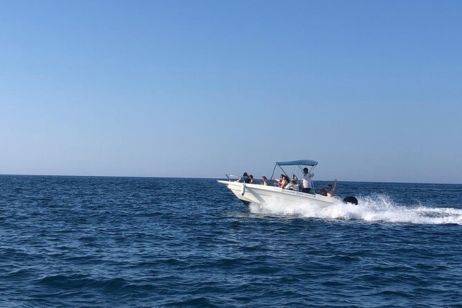 Boat trip to the Polignano a Mare caves - What You’ll Learn: Limestone Cliffs, Fossils, and Local Stories