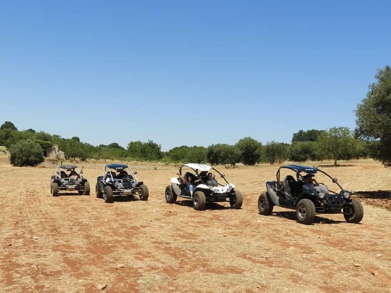 Buggy/Quad excursions in Puglia with 4-seater buggies available on request. - The “Cultural Stops” Part: Trulli, Masserias, and a Guide Who Explains