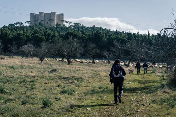 Castel del Monte: excursion in the Alta Murgia National Park - Castel del Monte: why this strange shape matters
