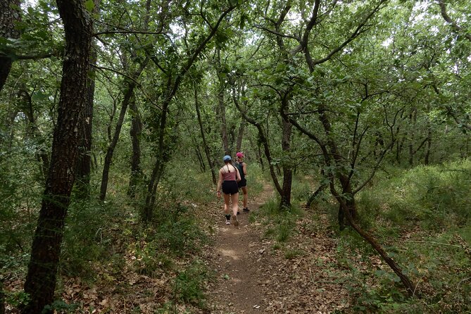 Castel del Monte: excursion in the Alta Murgia National Park - What’s included (and what you’ll need to budget extra)