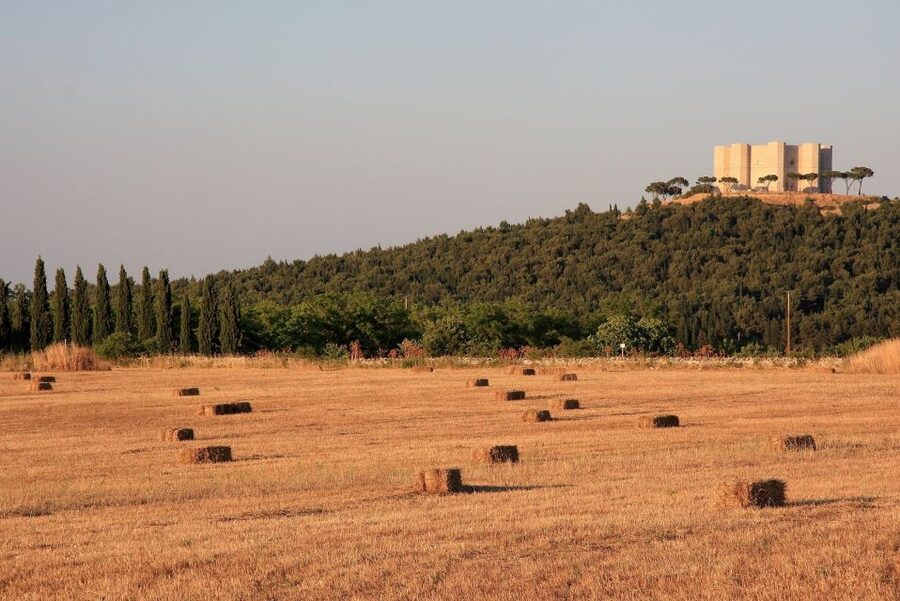 Castel del Monte Tour with transfer from Trani - What to expect on the ground: timing, language, and how to prepare