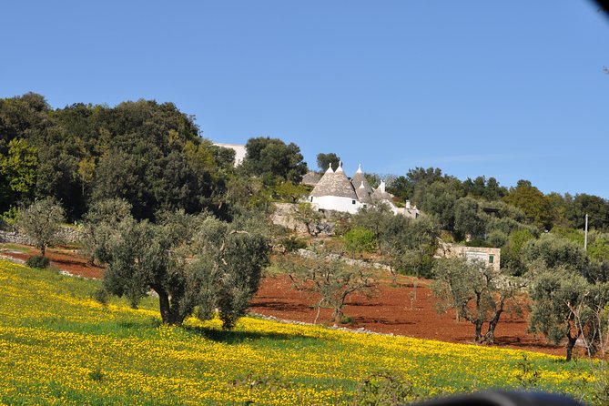 Day Tour of Bari, Alberobello, Matera - The 9:30 am start: getting set up for a smooth day