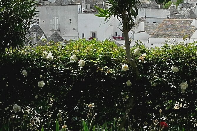 Day Tour of Ostuni, Martina Franca, Alberobello from Bari - Alberobello’s trulli UNESCO stop: inside access plus wine tasting