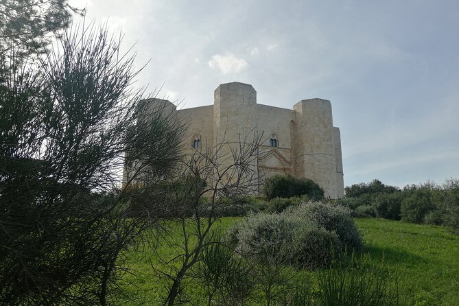 Day tours from Bari: Explore Polignano, Alberobello, Matera - Alberobello trulli: dry-stone houses that still work