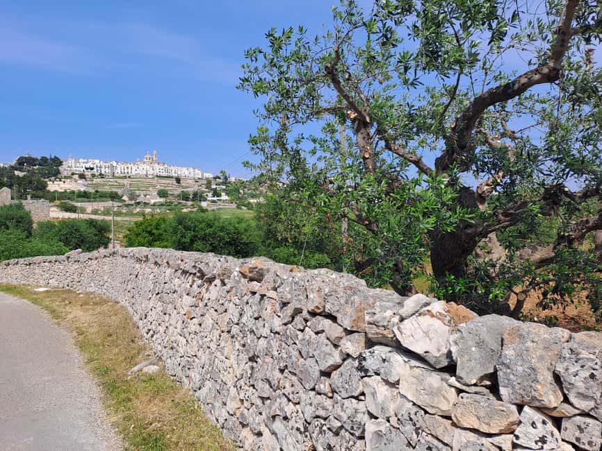 e-Bike ring tour between Martina Franca and Locorotondo - Out into the Itria Valley: trulli, vineyards, and dry-stone walls