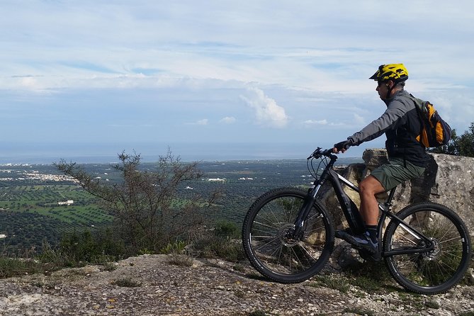 Ebike tours: Alberobello and the wines of Valle d'Itria - Why an e-bike tour beats map duty in Puglia