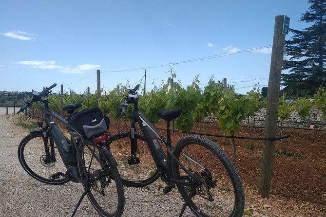 Ebike tours: Alberobello and the wines of Valle d'Itria - Group size and pace: why comfort is part of the value
