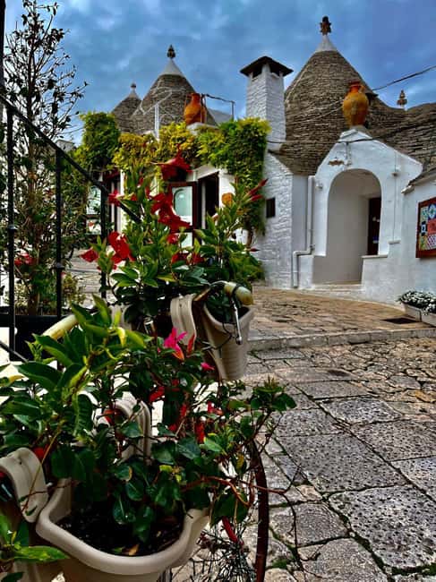 Expert Guided Tour & Tasting, Alberobello - Key Highlights I’d Prioritize