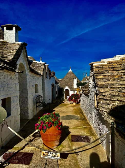 Expert Guided Tour & Tasting, Alberobello - Should You Book This Alberobello Expert Tour & Tasting?