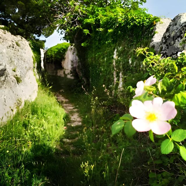 Explore the Murgia Materana UNESCO Park (Italiano & Espanol) - Price and value: is $34 per person worth it?