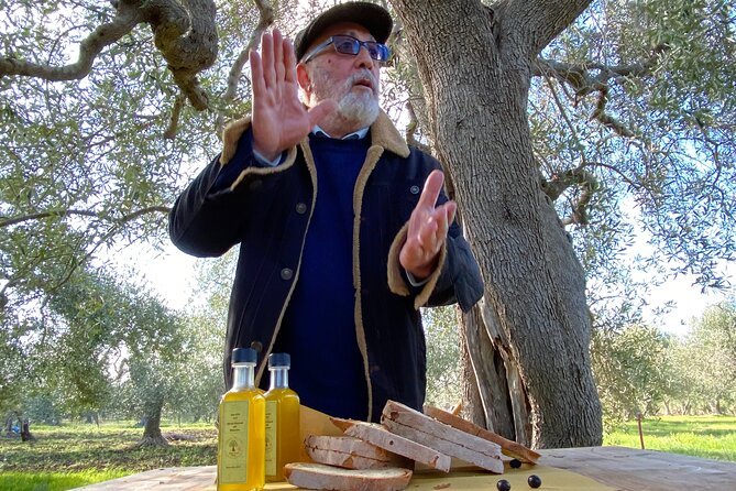 Food and Wine Tour between the Patriarchs Olives and the Oil Temples - Music and the Social Side of an Olive Meal