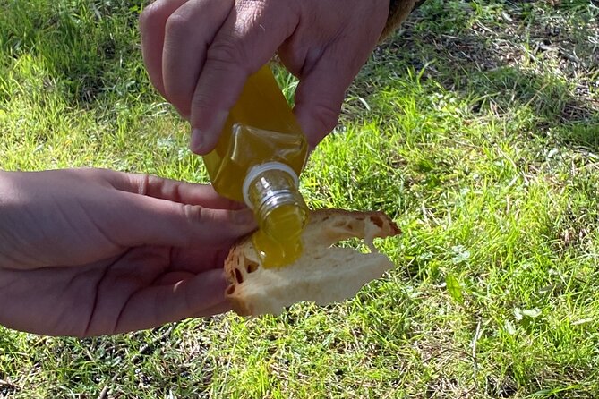 Food and Wine Tour between the Patriarchs Olives and the Oil Temples - Price and What $50.41 Buys You
