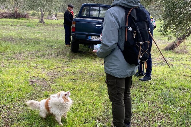 Food and Wine Tour between the Patriarchs Olives and the Oil Temples - Practical Tips So You Enjoy the Walking and Cave Stops