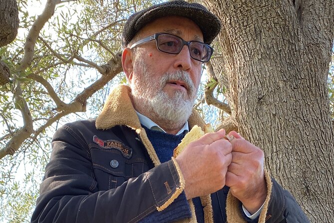 Food and Wine Tour between the Patriarchs Olives and the Oil Temples - Who This Tour Suits Best (And Who Might Be Happier Elsewhere)