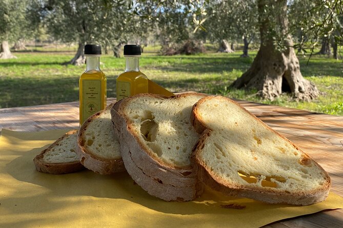 Food and Wine Tour between the Patriarchs Olives and the Oil Temples - The Route Starts With Heritage, Then Moves Into the Murgia