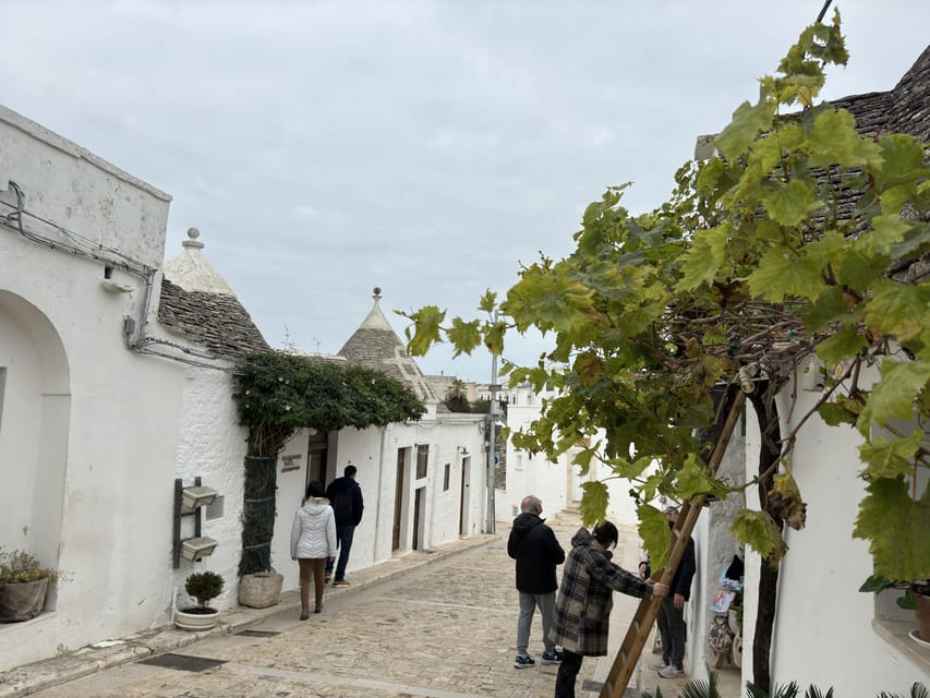 From Bari: Alberobello Half-Day Trip with Guided Tour - Price and logistics: what you’re paying for