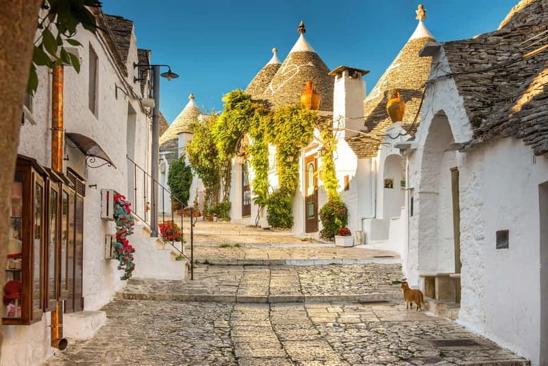 From Polignano a Mare: Guided Tour of Alberobello - Walking Aia Piccola and Rione Monti without getting lost in the hype