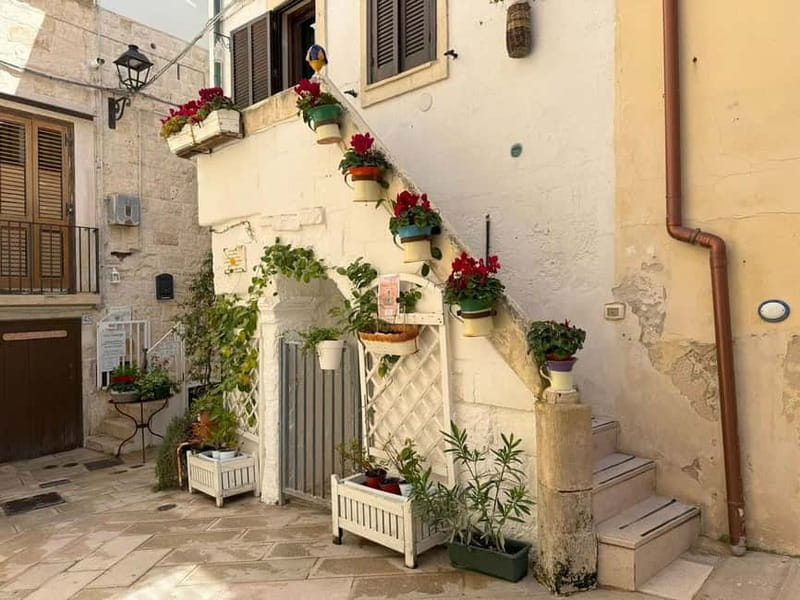 Full Day: From Matera to Alberobello, Polignano, and Bari - Bari’s Historic Core and Basilica di San Nicola: 2 Hours That Matter