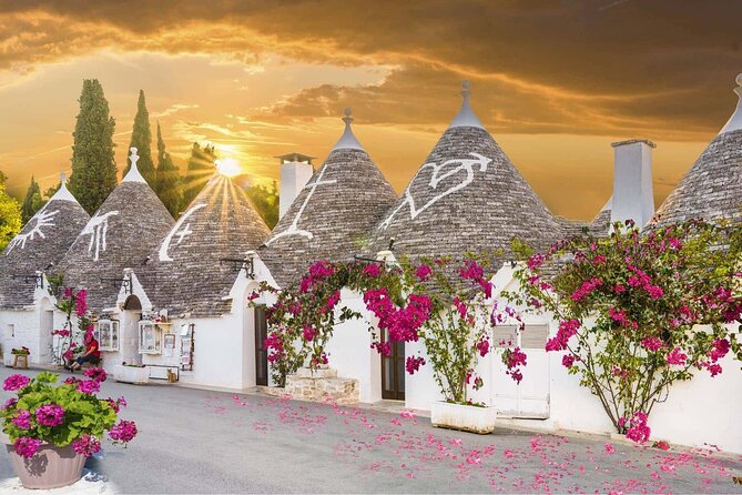 Full Day Tour by Car and Walking among the Apulian Beauties - The van ride reality: comfort, group size, and what you’ll actually get