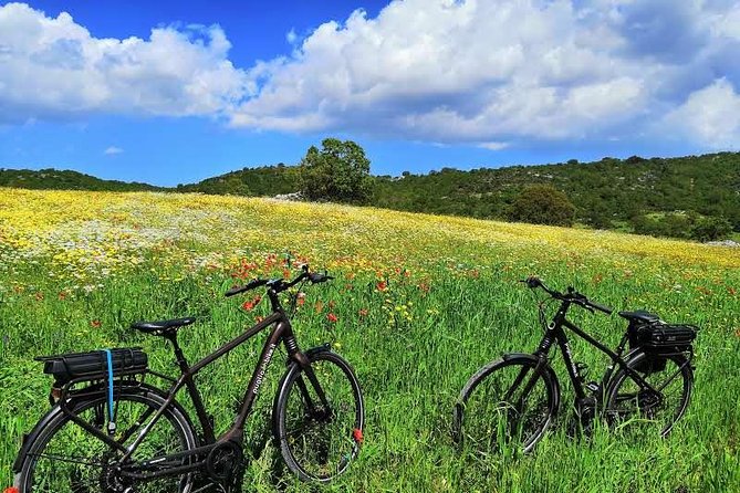 GPS self guide Alberobello and Masseria + Mozzarella and Focaccia tastings by E-bike - Where you start in Locorotondo and how the flow feels