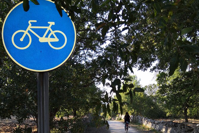 GPS tour with E-Bike on cycleroute of acqueduct Pugliese with wine tasting directly in vineyards - Pedaling the Apulian Aqueduct: what this outing feels like