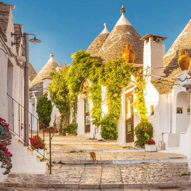 Guided Tour of Alberobello Trulli with Transfer included - Why Alberobello’s trulli feel special in person